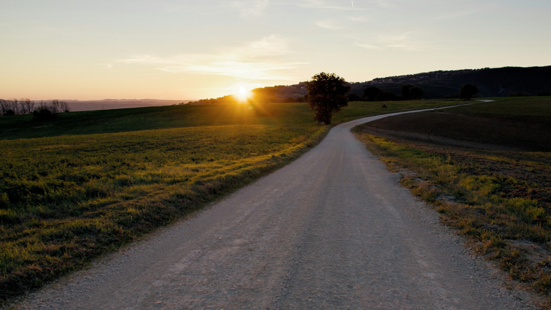 A gravel road curving through green fields toward a setting sun, with a lone tree and low hills in the distance.